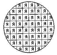 p111.jpg